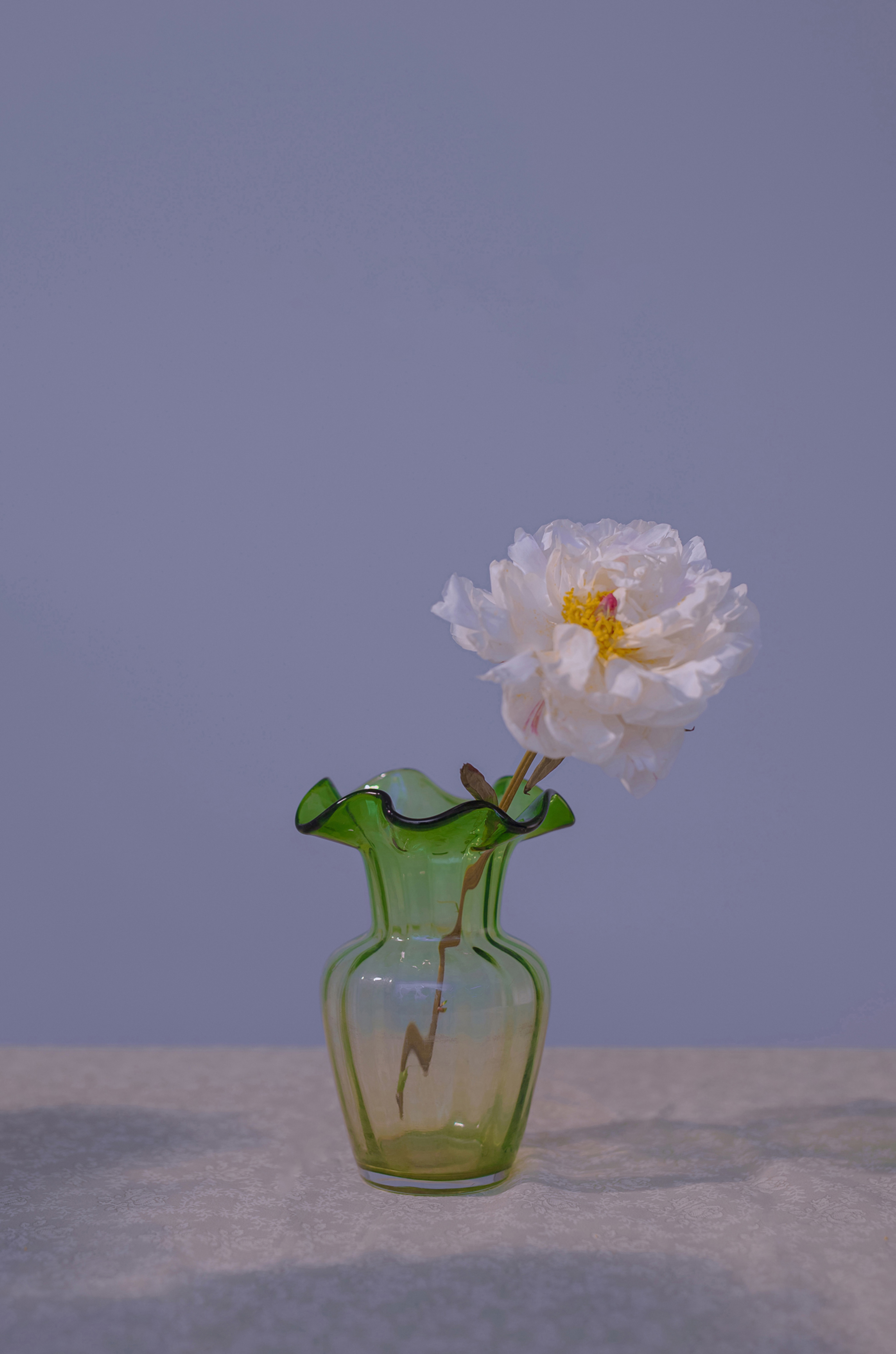 蜘蛛池访问日志的分析方法